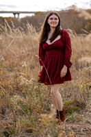 _HEN2593