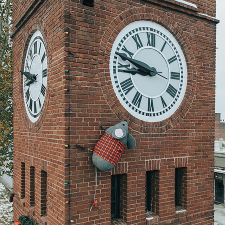 2019_11-Clock Tower Mouse-6772