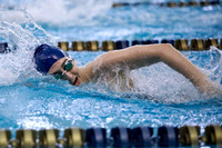 2020_02-HHS Swim Sectionals-0026