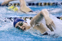 2020_02-HHS Swim Sectionals-0012