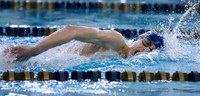 2020_02-HHS Swim Sectionals-0059