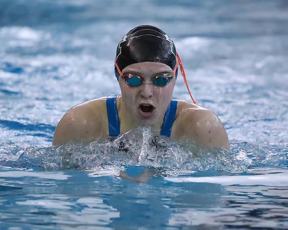 2020_02-HHS Swim Sectionals-0170