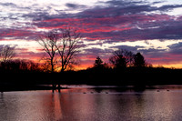2020_03-Hudson Springs-8031-Edit