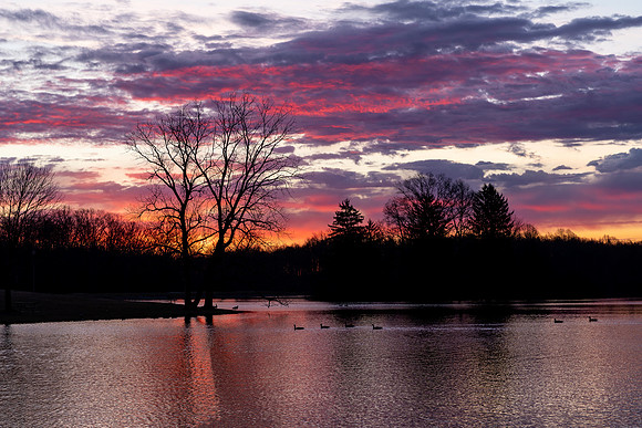 2020_03-Hudson Springs-8031-Edit