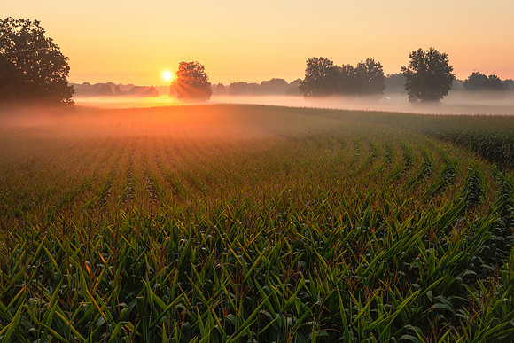 2020_09-Kent Farm Sunrise-0981-Edit
