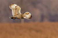 _HEN8751-CR3