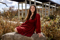 _HEN2578