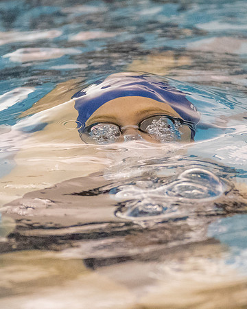 2022_02-HHS Swim Sectionals-3599
