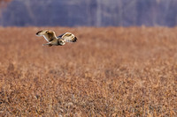 _HEN9074-CR3